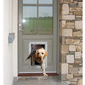 Pet Door A207