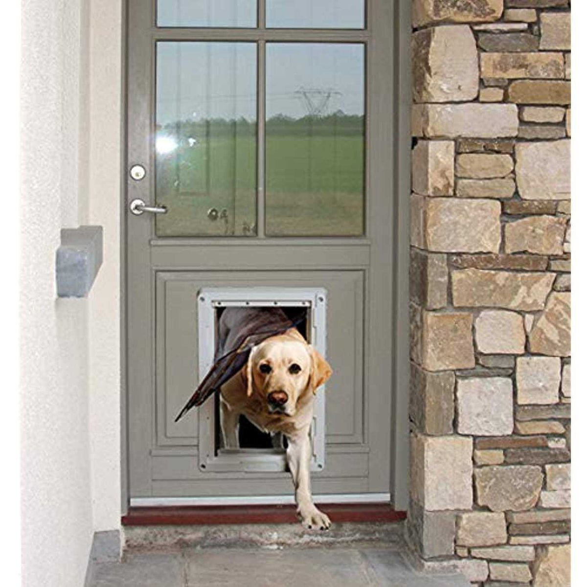Pet Door A207