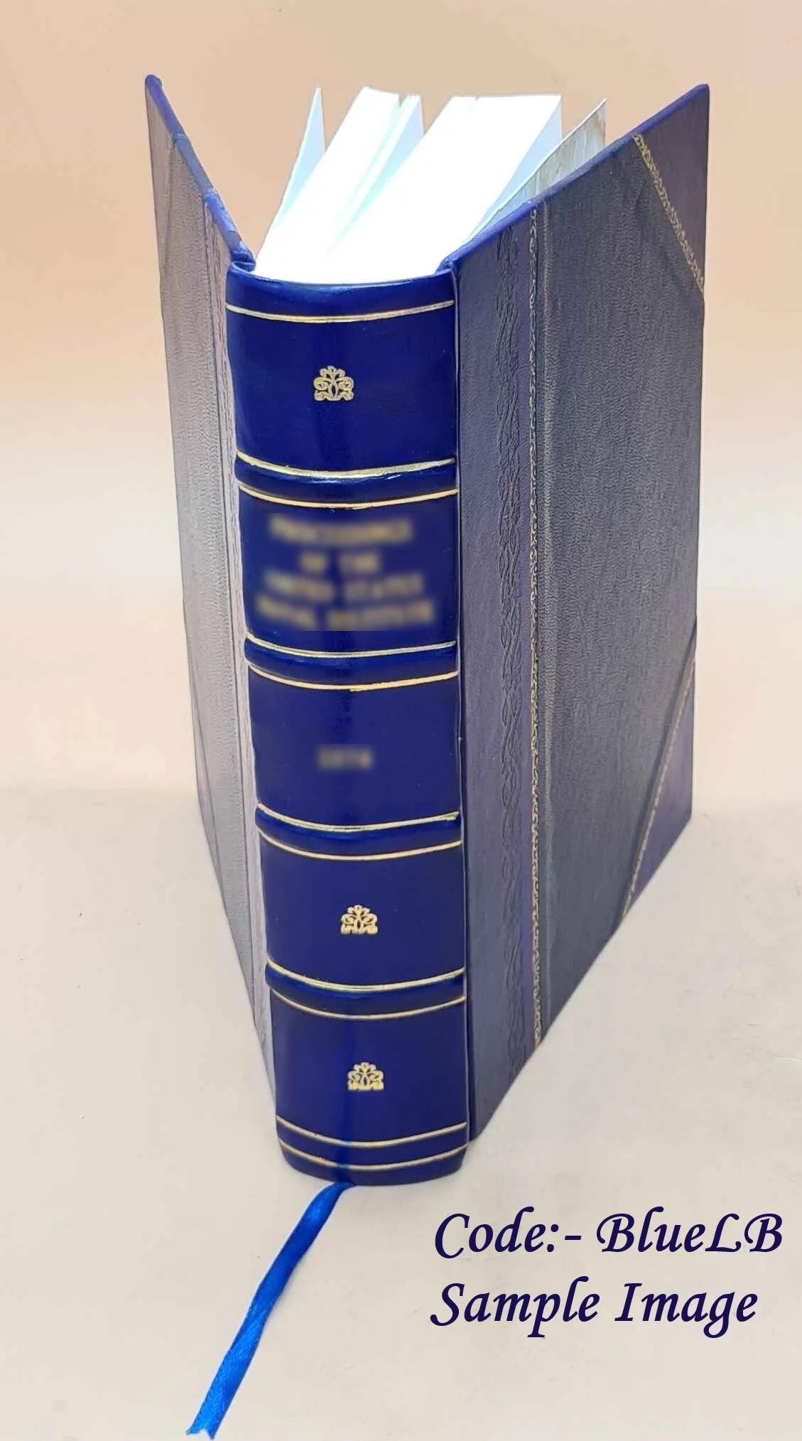 Leather Bound History Book Q74074