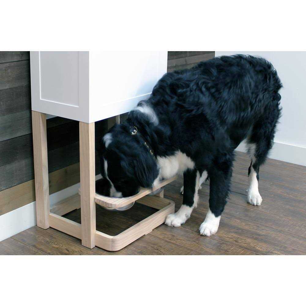 Pet Feeder Station E42923