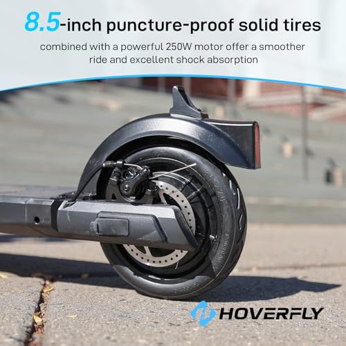 Electric Scooter with 8.5" Solid Tire, 250W Motor, Foldable R3018