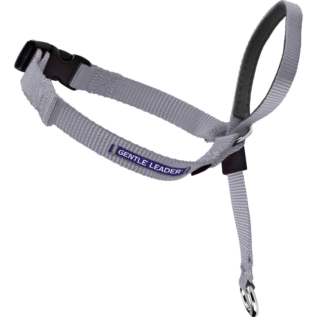 Headcollar Q33844