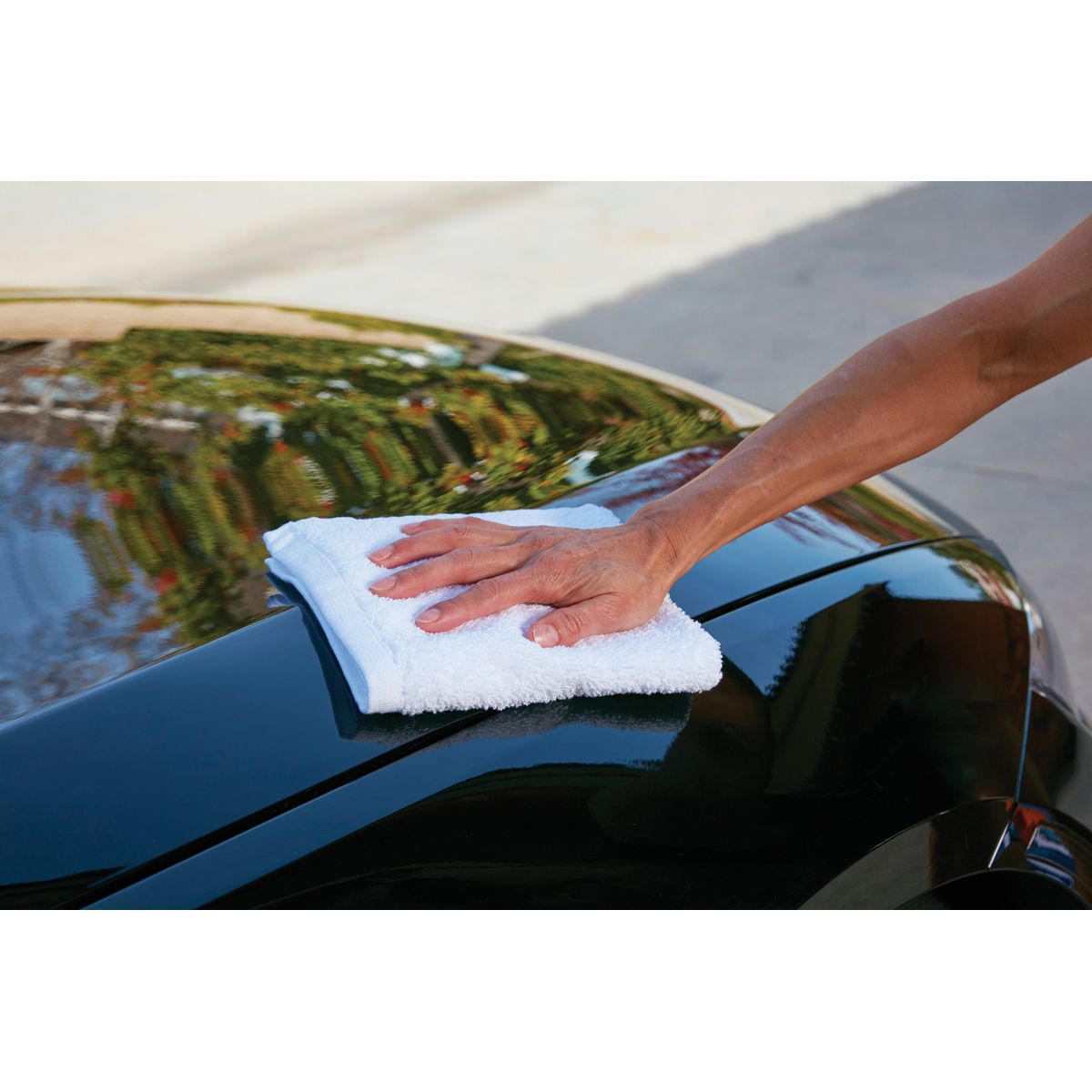 Cotton Terry Cleaning Towels 12-Pack F808