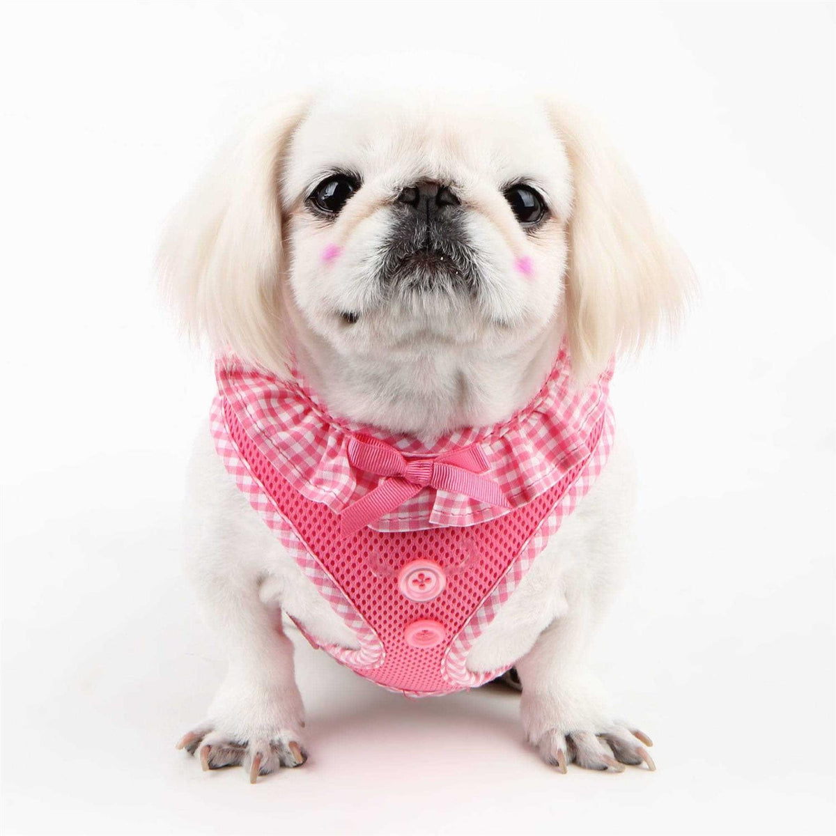 Dog Harness J6874