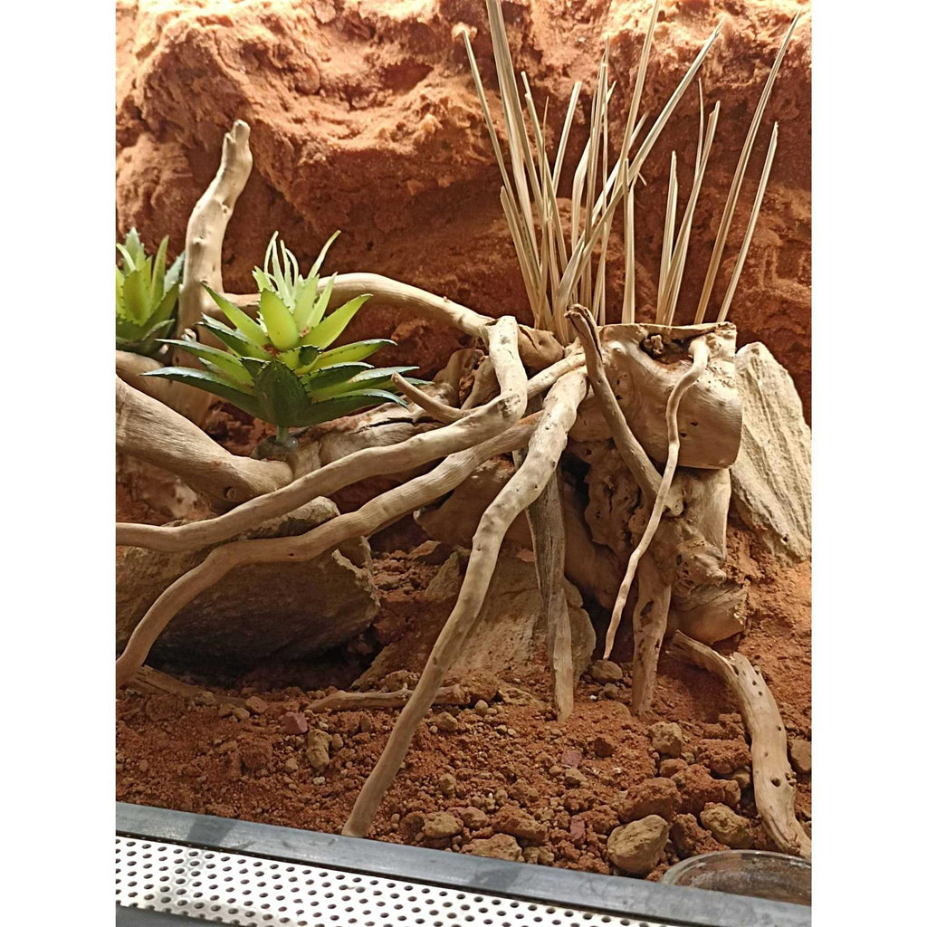 Stone Desert Substrate X204