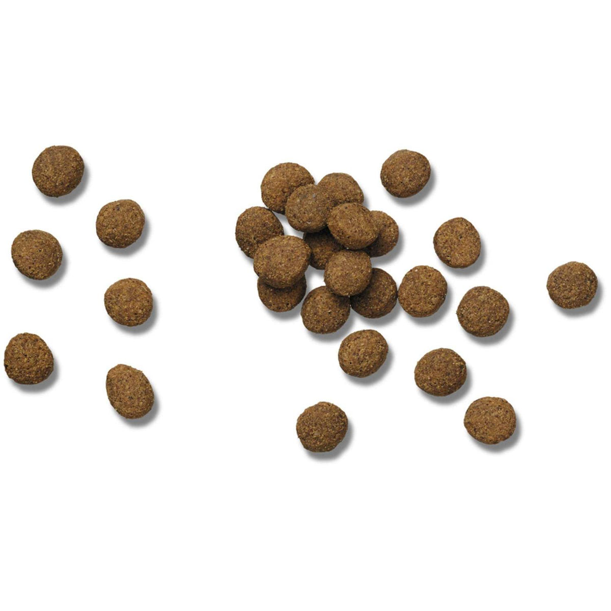Dry Dog Food L13665