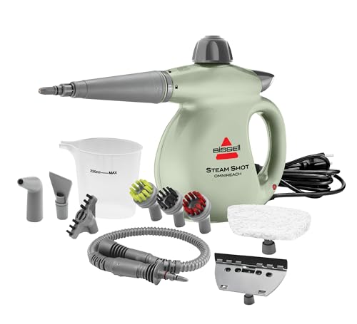 Handheld Portable Steam Cleaner with 10 Tools N905670