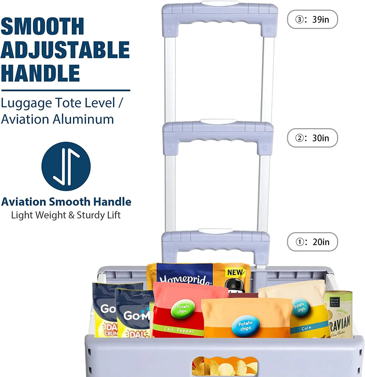 Foldable Rolling Crate with Lid Wheels, Gray S4848