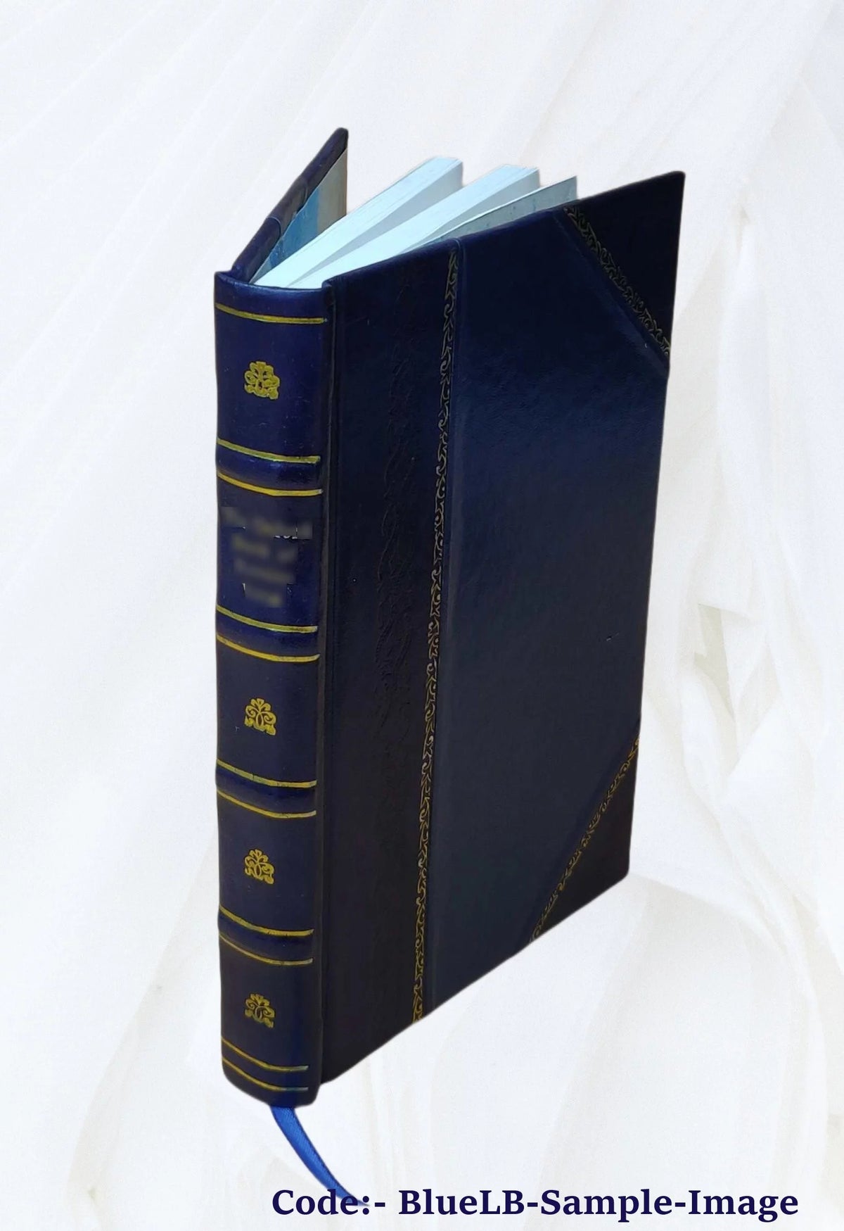 Leather Bound P45286