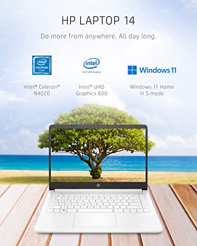 14-inch Laptop, Intel Celeron N4020, 4 GB RAM, 64 GB Storage, Windows 11 Home Y329306