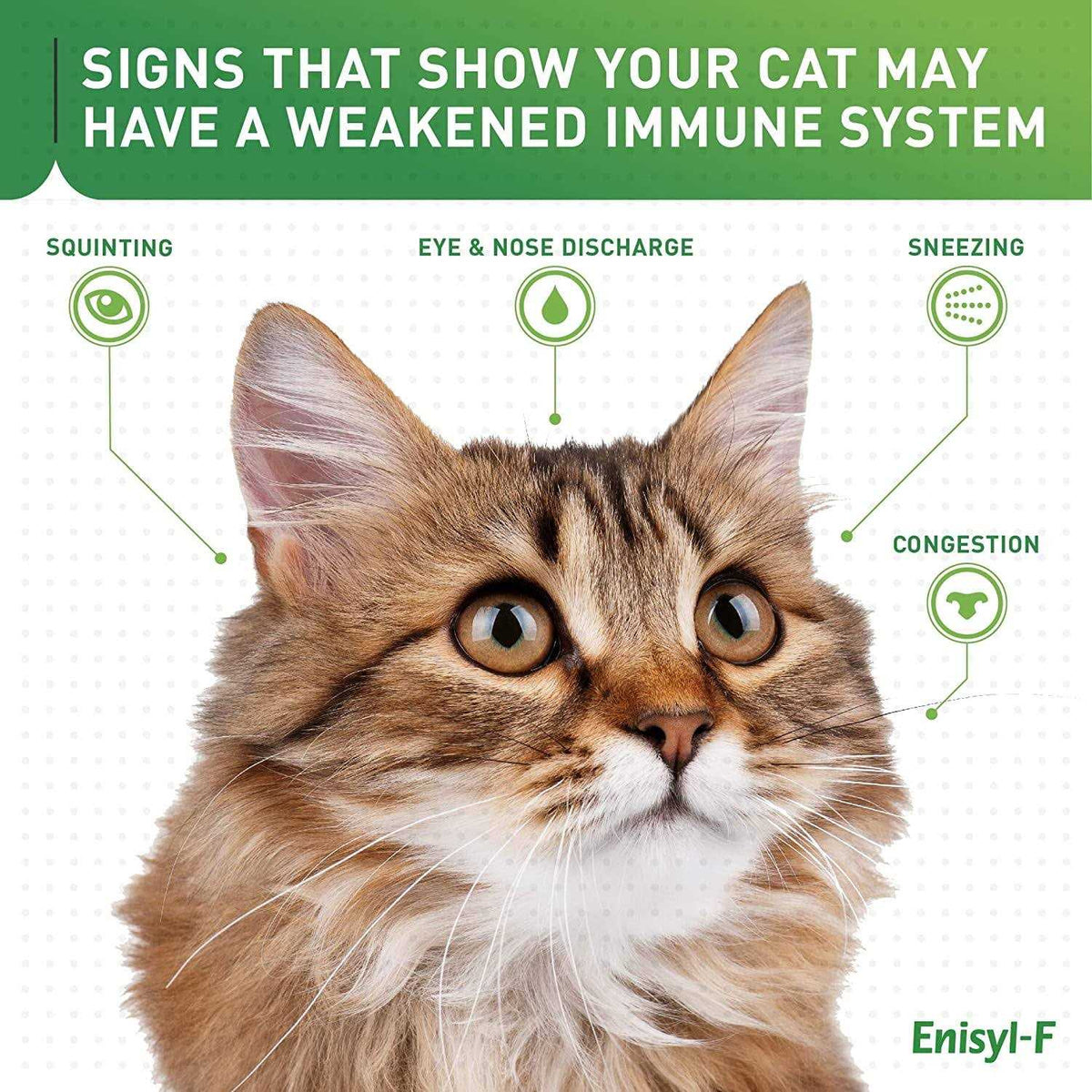 L-Lysine Chews for Cats K6389