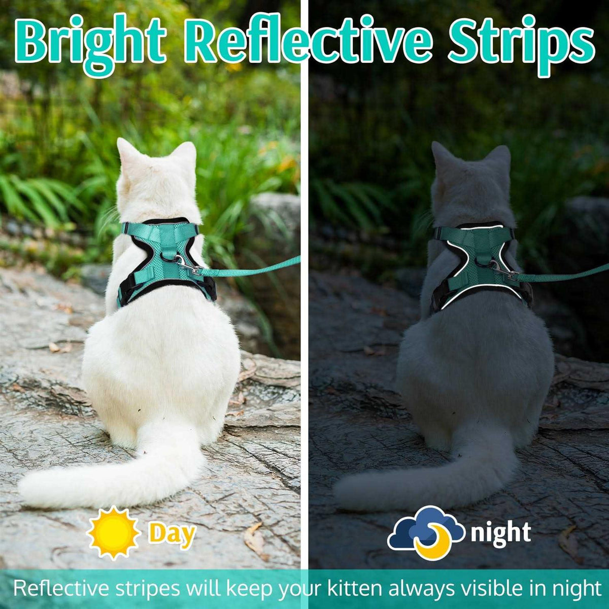 Cat Harness and Leash C68778