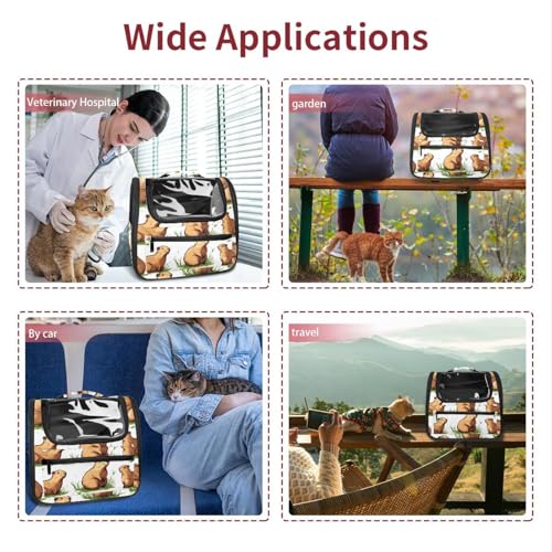 Airline Approved Pet Carrier Bag U4227