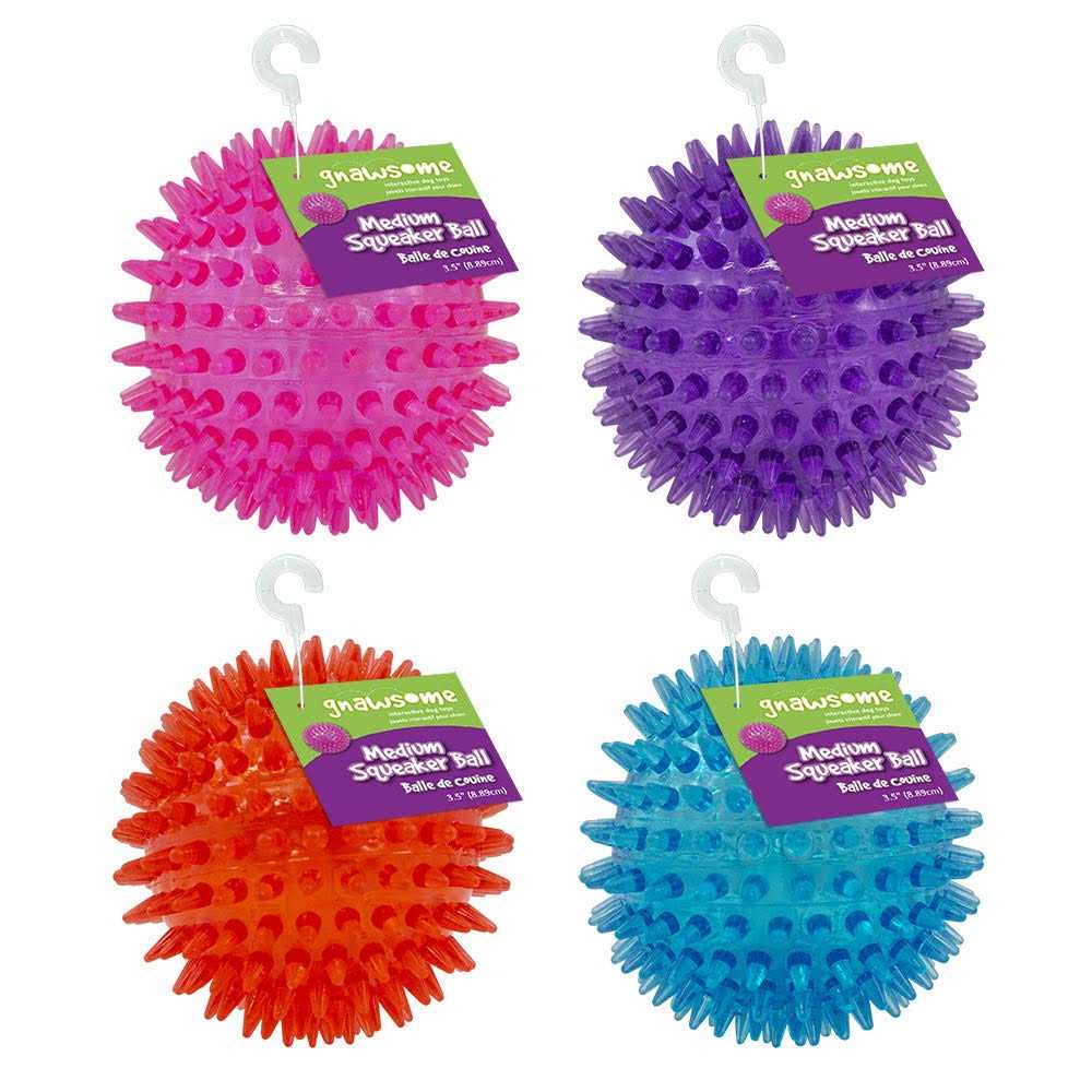 Squeaker Ball Dog Toy U89685