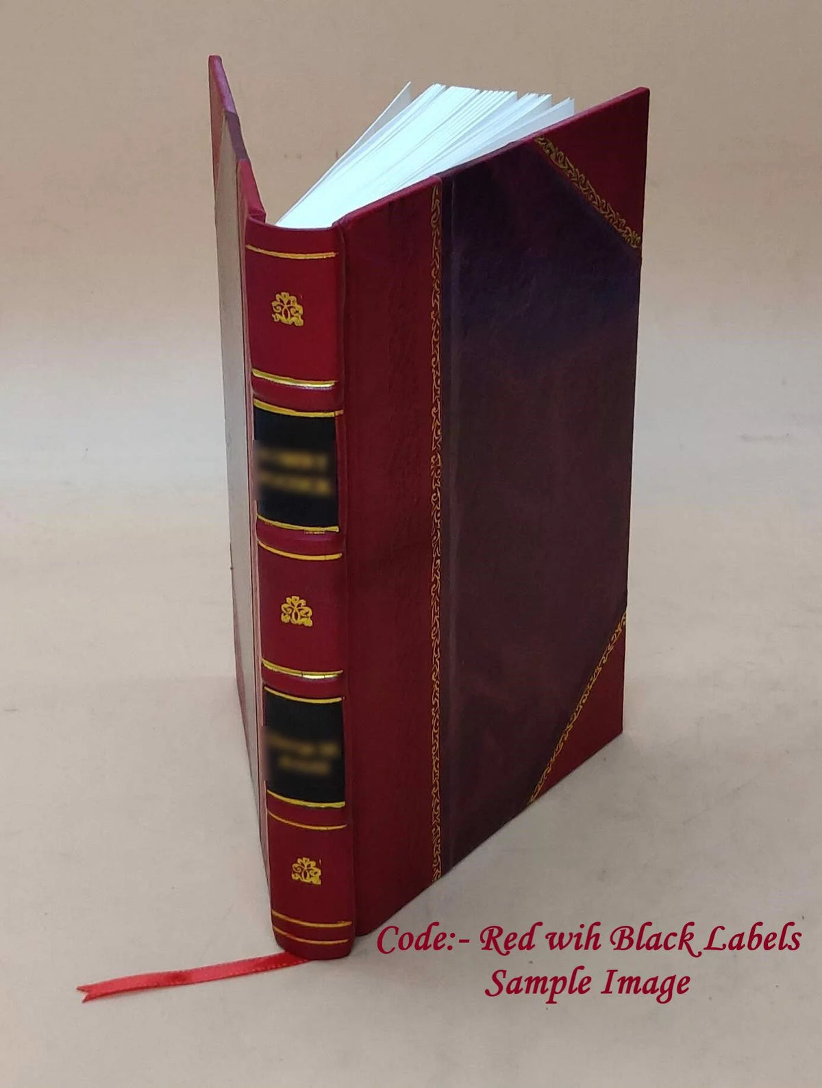 Leather Bound History Book Q74074