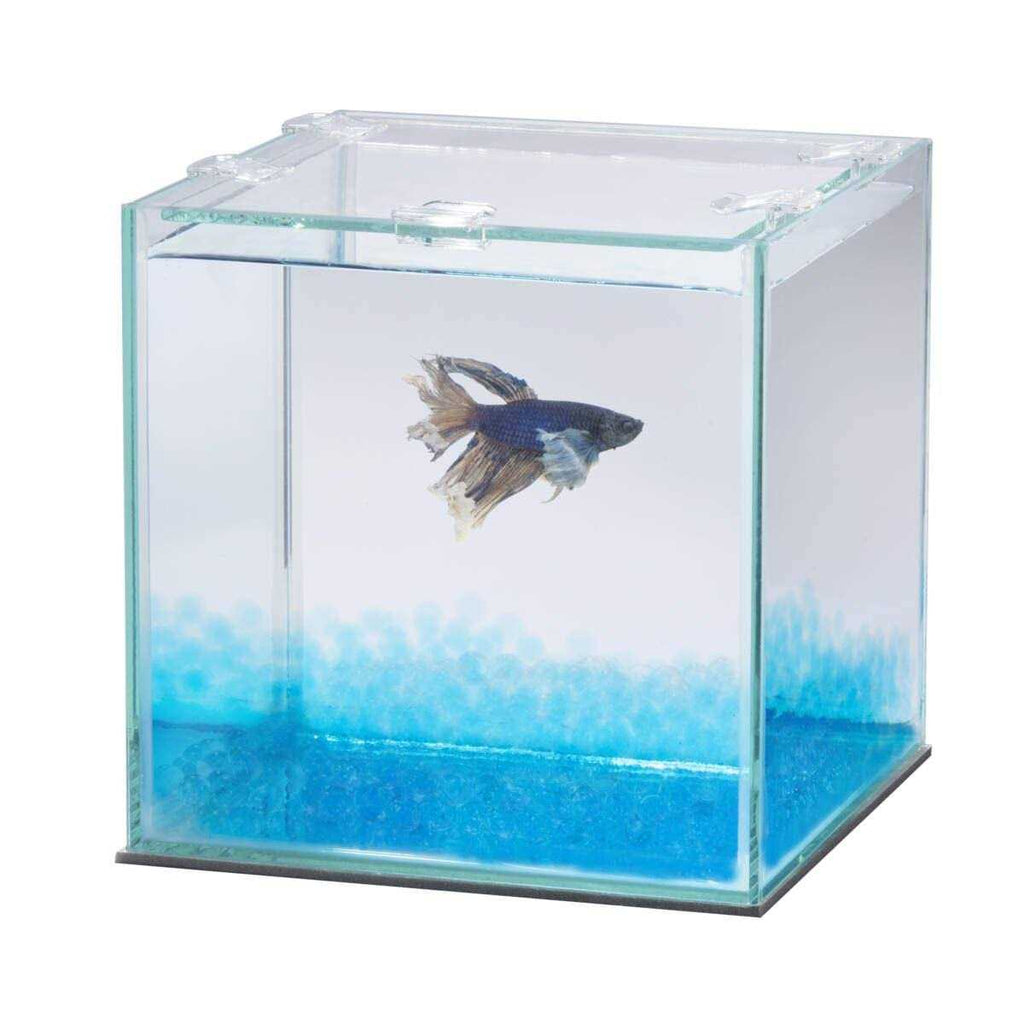 Betta Beads O217942