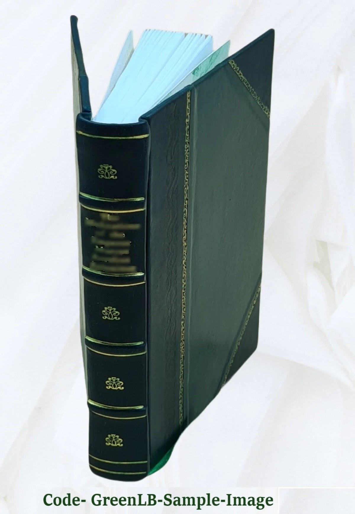 Leather Bound P45286