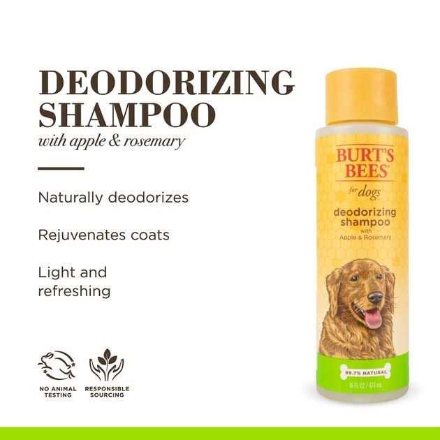 Shampoo T4187