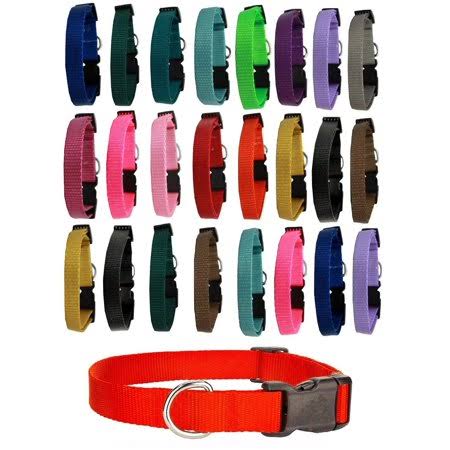 25 Assorted Color Adjustable Dog Collar Bulk Pack R607