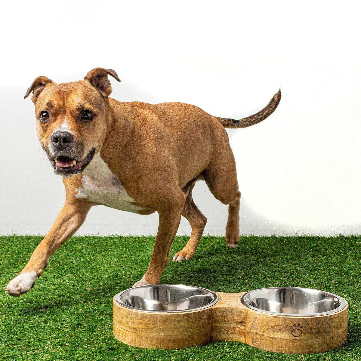 Wood & Metal Pet Feeder Y20626