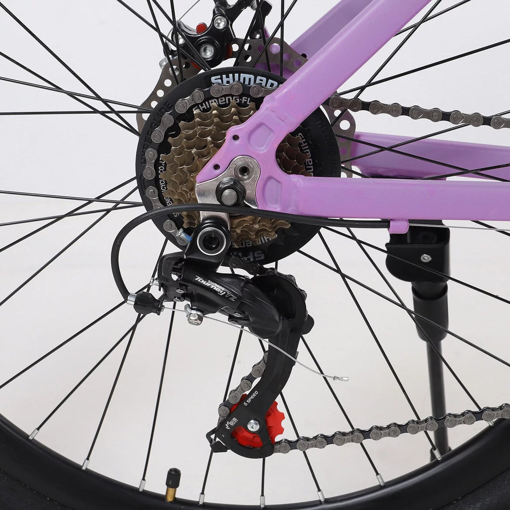 26-inch 21-Speed Lightweight Aluminum Mountain Bike F6024
