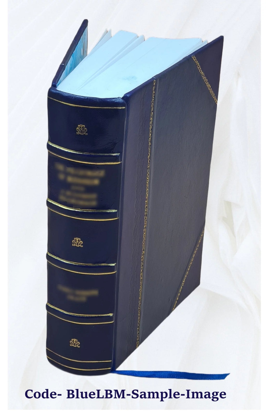 Leather Bound Book P935261
