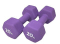 Neoprene 20LB Hex Dumbbell Hand Weights Set of 2 Y386117