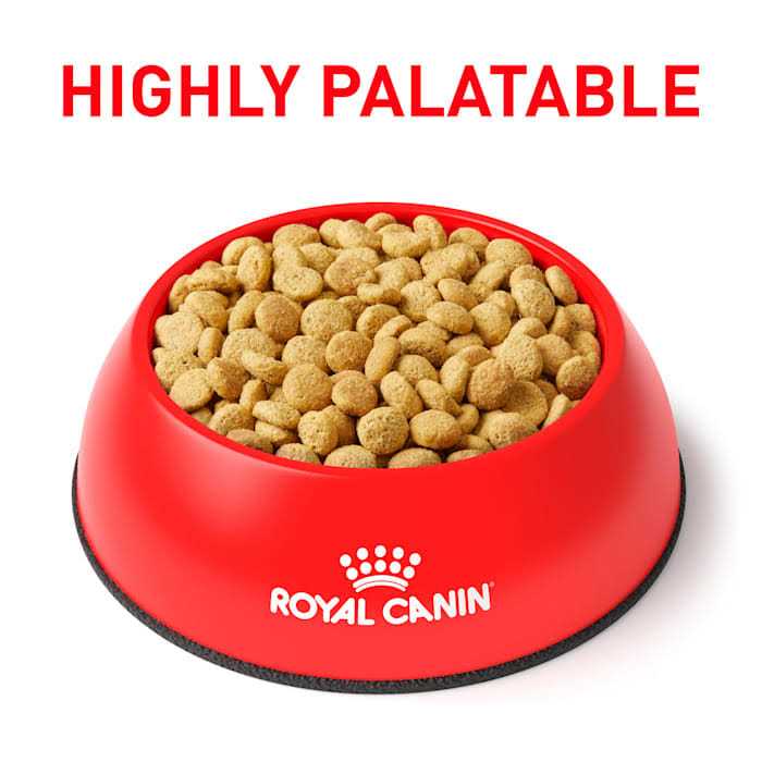 Veterinary Satiety Weight Management Pet Supplies L16108