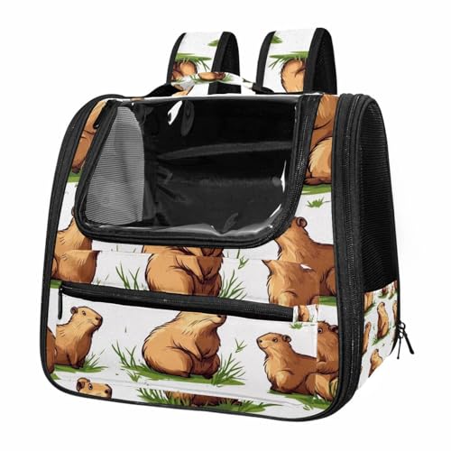 Airline Approved Pet Carrier Bag U4227