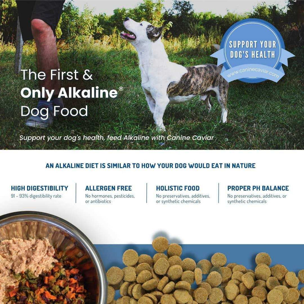 Holistic Dry Dog Food A3464
