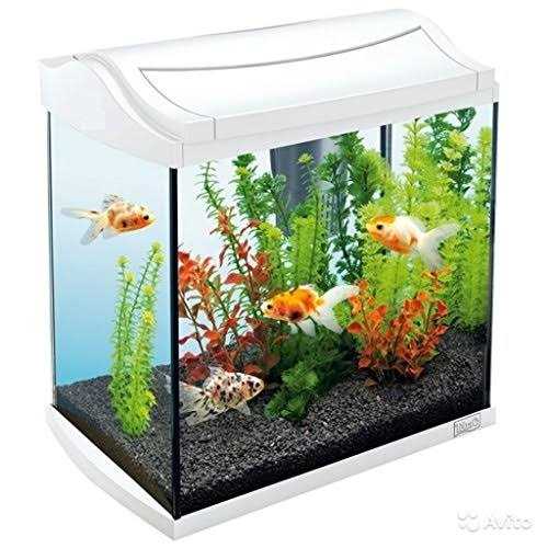 Aquarium Gravel E44362