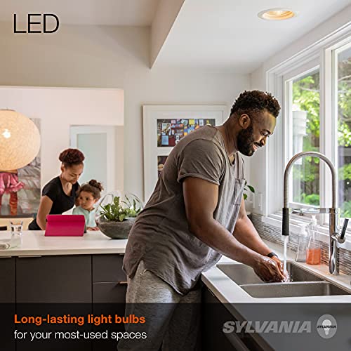 A19 9W LED Light Bulb 8 Count I1619