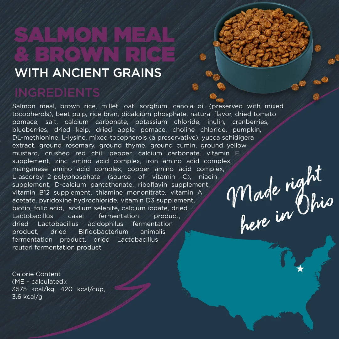 Blackwood Dry Dog Food Sensitive Skin & Stomach Salmon Meal with Ancient Grains 10 lb. C893
