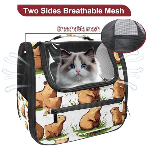 Airline Approved Pet Carrier Bag U4227