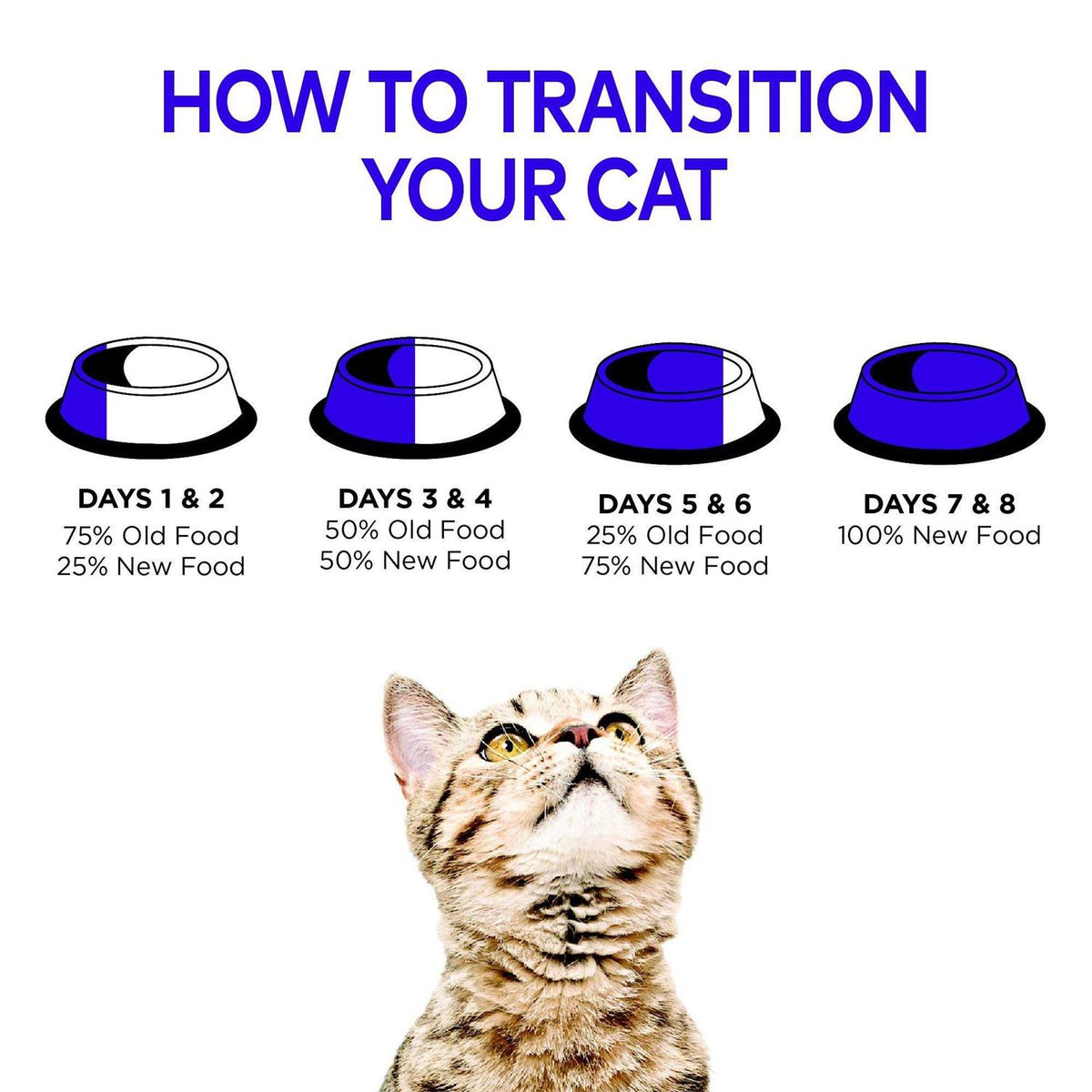 Cat Food Q1387