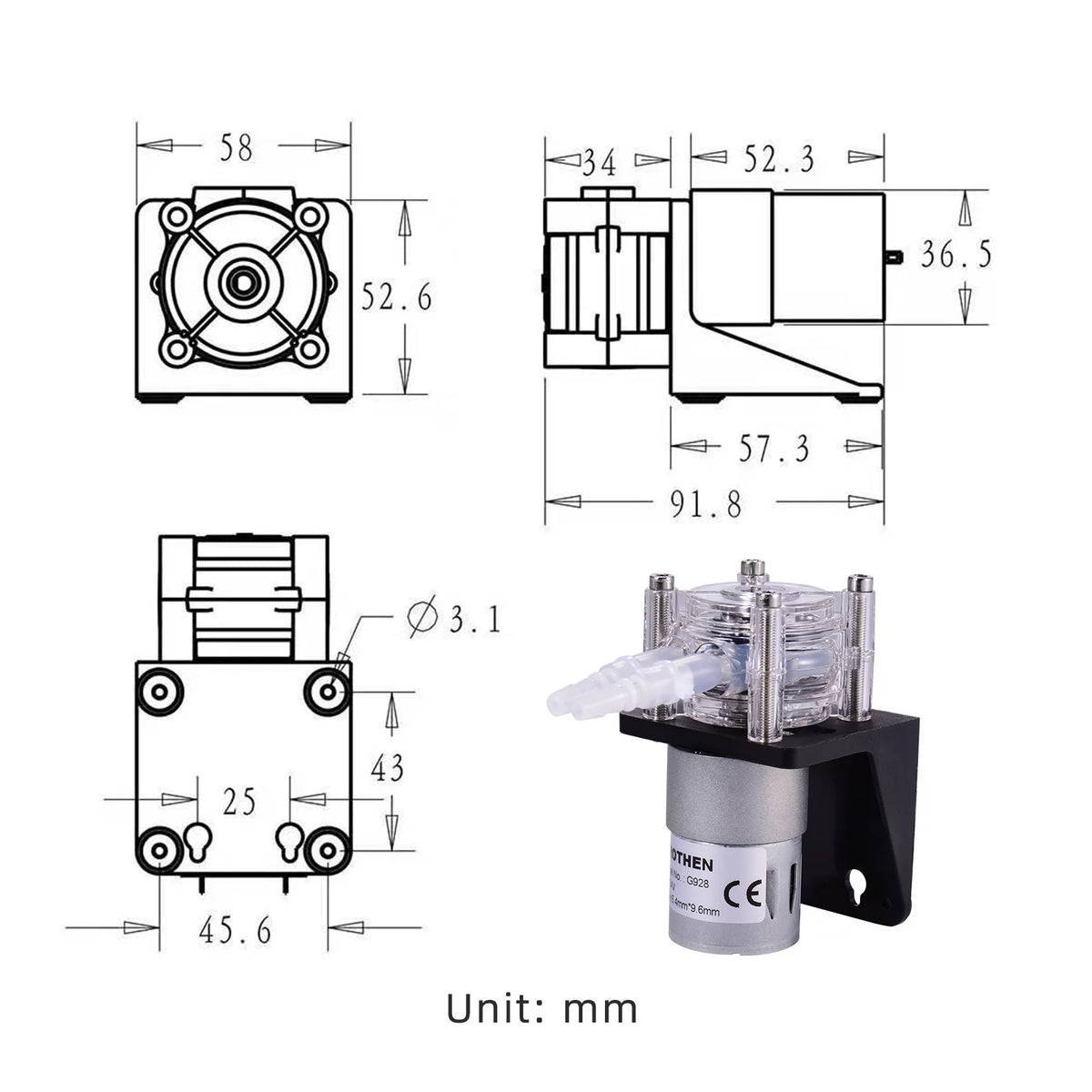 DC 12V Peristaltic Pump with Silicone Tubing Y170