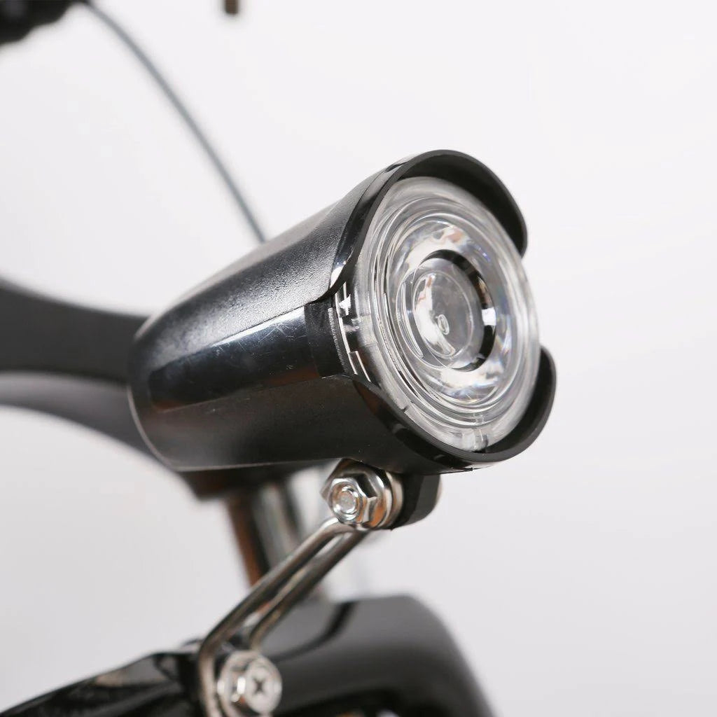 Fat Tire Electric Bicycle D627414
