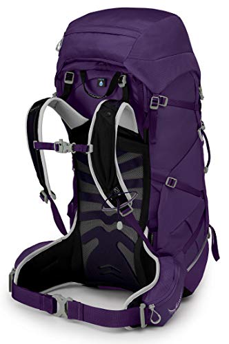 40L Women's Hiking Backpack, Violac Purple U89981