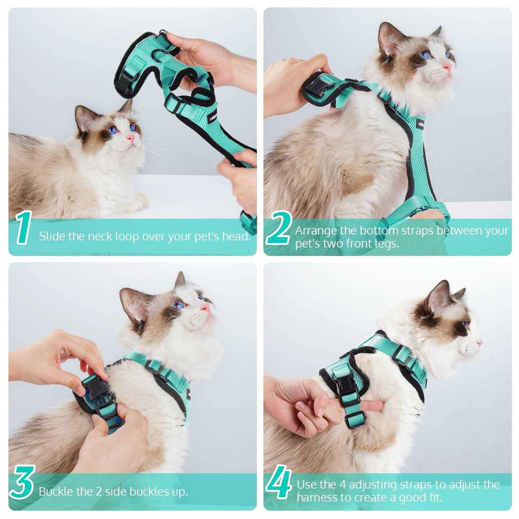 Cat Harness and Leash C68778