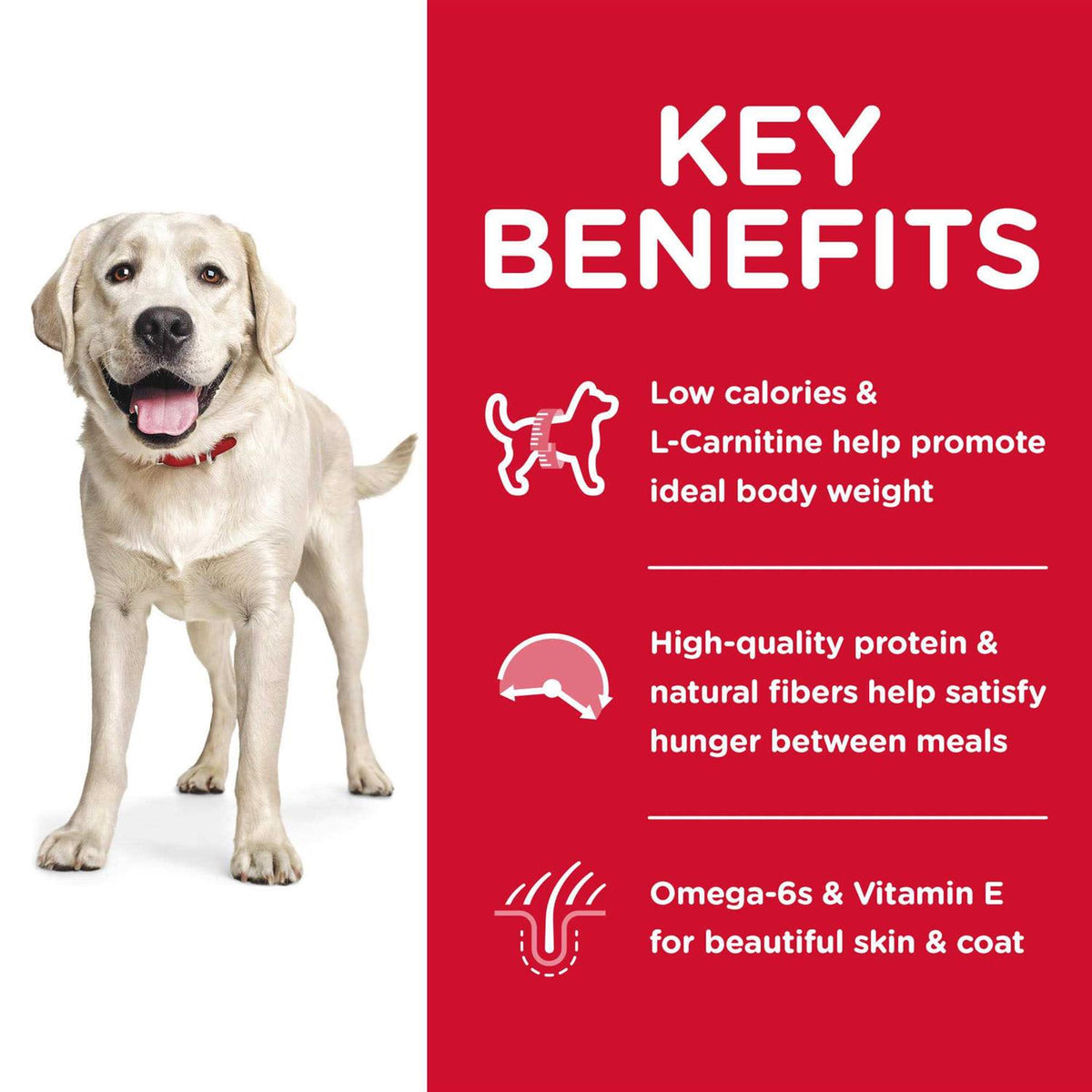 Adult Large Breed Dry Dog Food S4988