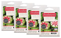 Guava Peach Scented Wax Melts 2.5 oz 4-Pack X779