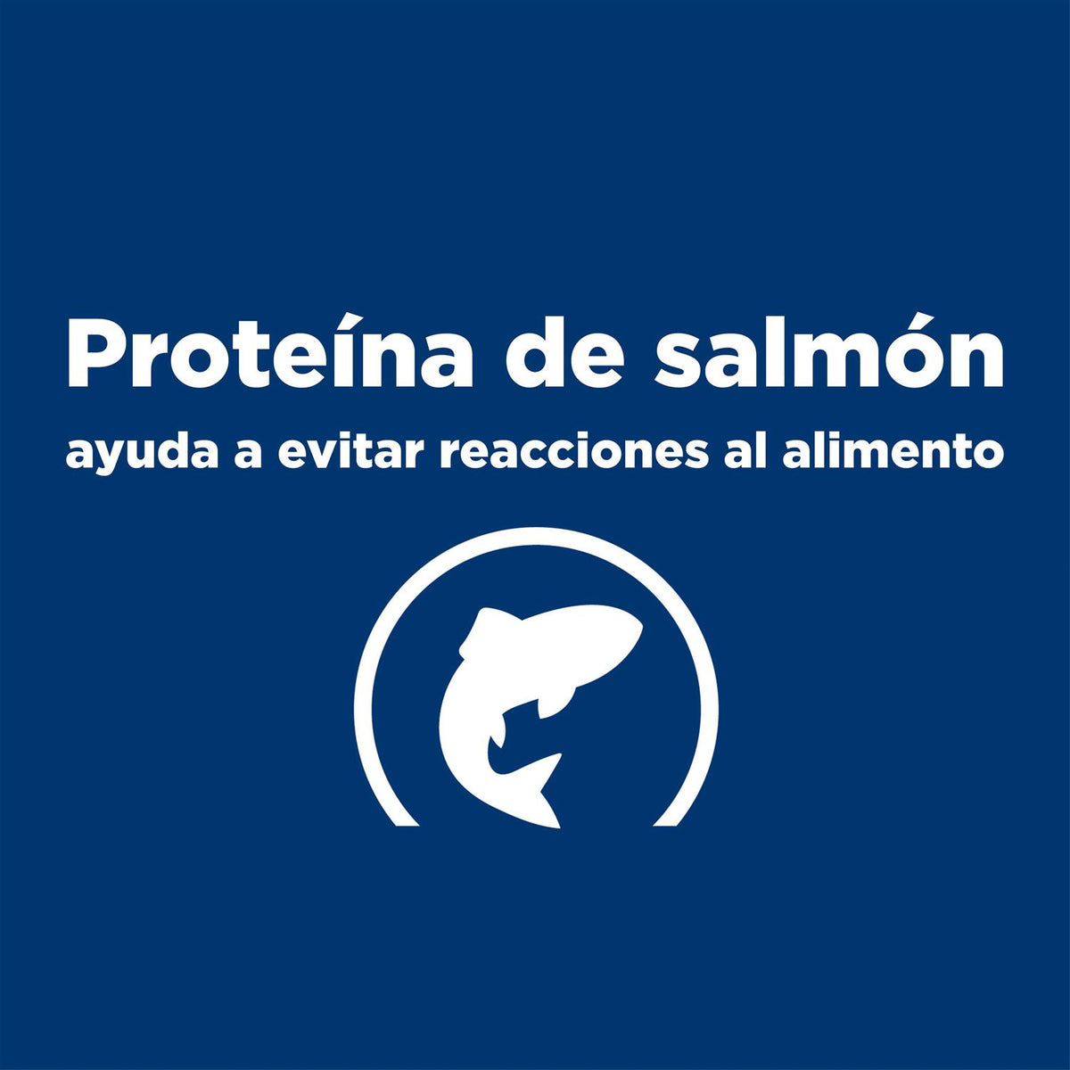 Potato & Salmon Recipe Dry Dog Food M5582