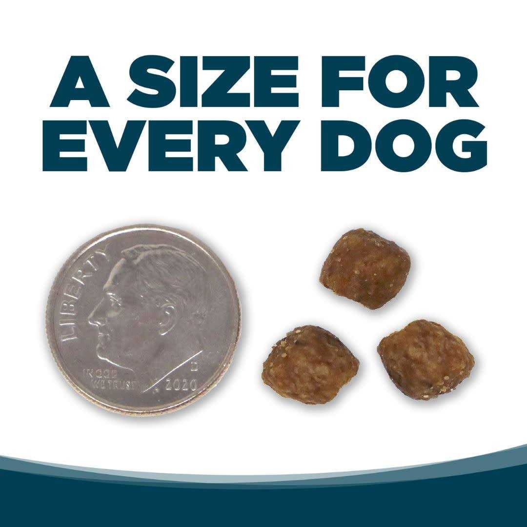 Small Bites Adult Chicken & Rice Dry Dog Food Q91108