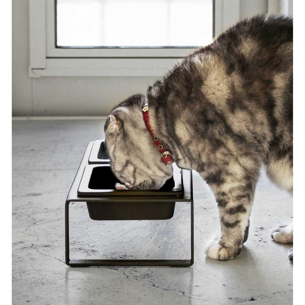Pet Food Bowl A515156