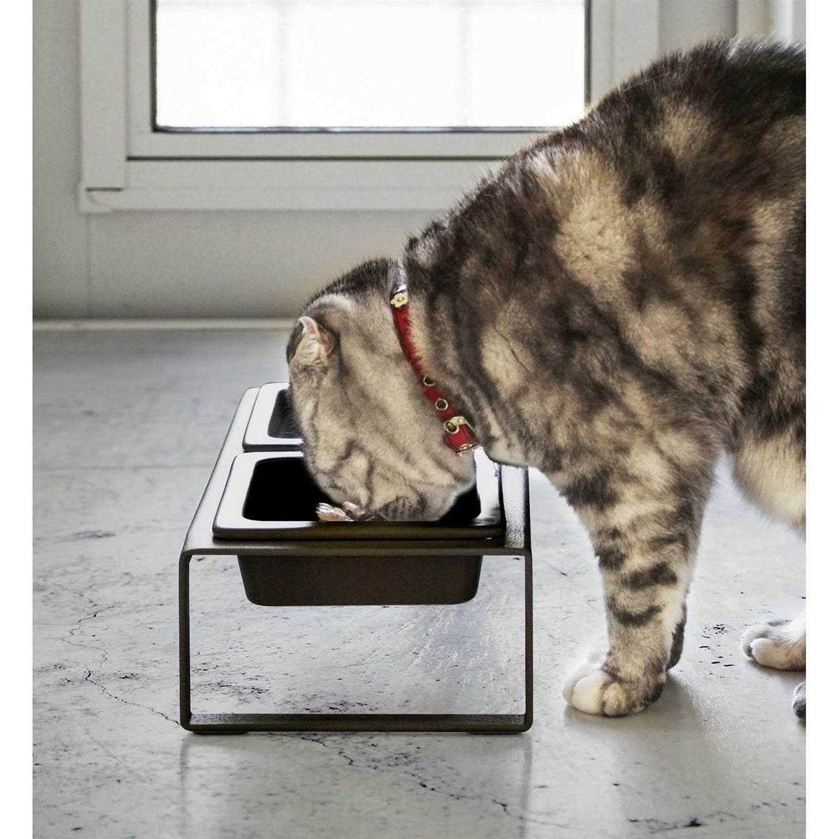 Pet Food Bowl A515156