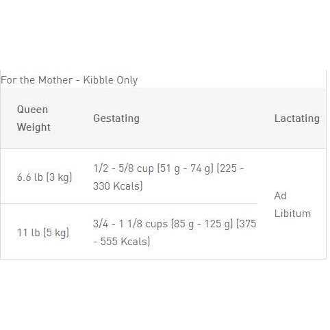 Mother & Baby Dry Cat Food Q882471