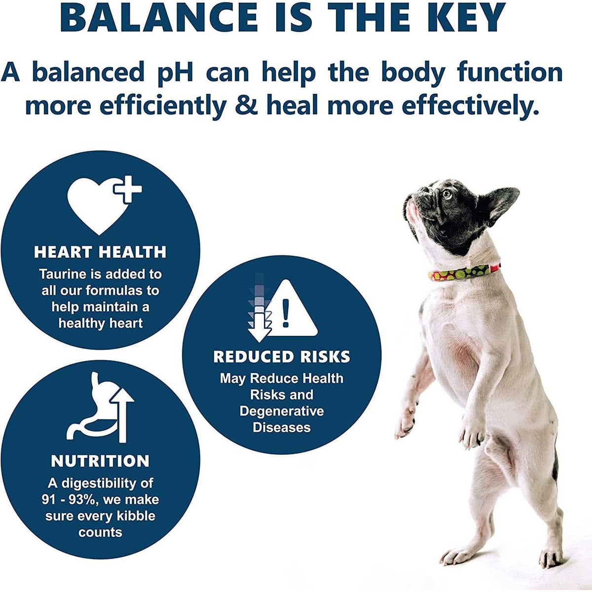 Holistic Dry Dog Food A3464
