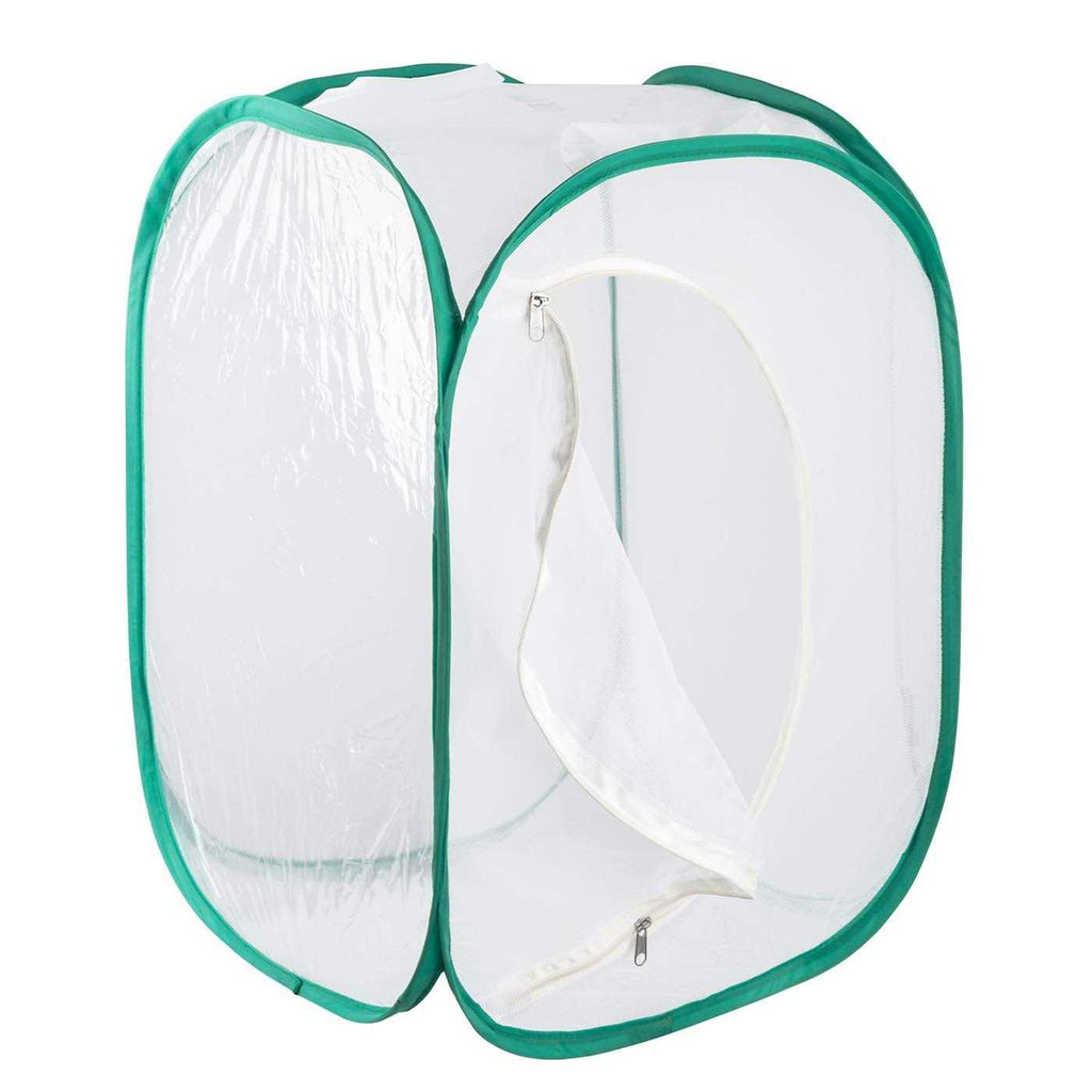 Insect and Butterfly Habitat Terrarium U178
