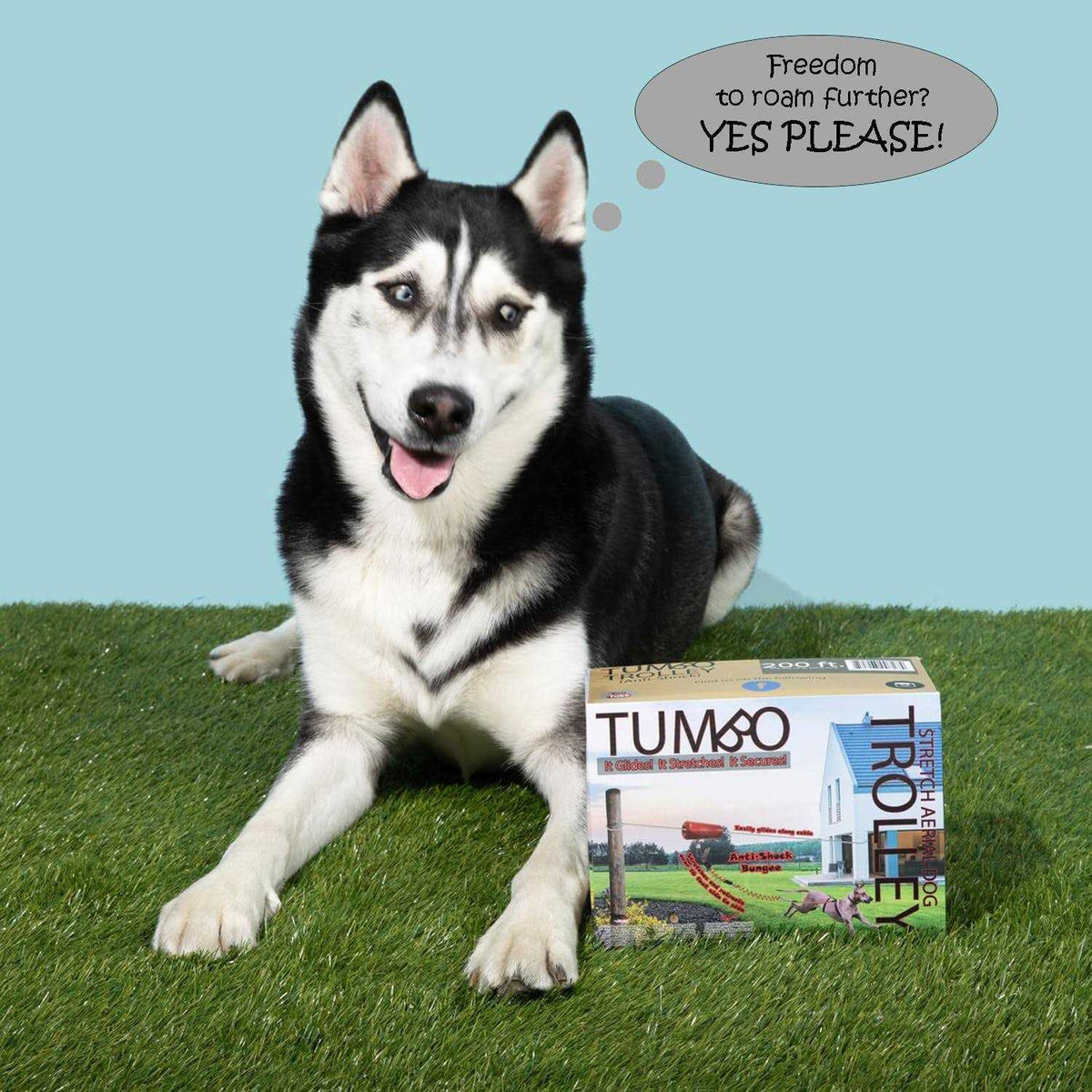 Anti-Shock Aerial Dog Runner A50587