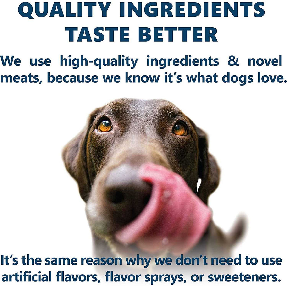 Holistic Dry Dog Food A3464